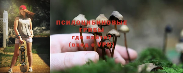 ПСИЛОЦИБИНОВЫЕ ГРИБЫ Инсар