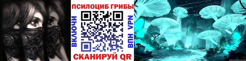 Купить закладки Волгоград Псилоцибиновые грибы MAGIC MUSHROOMS